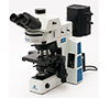 Mikroskop serii LAB 50 FL